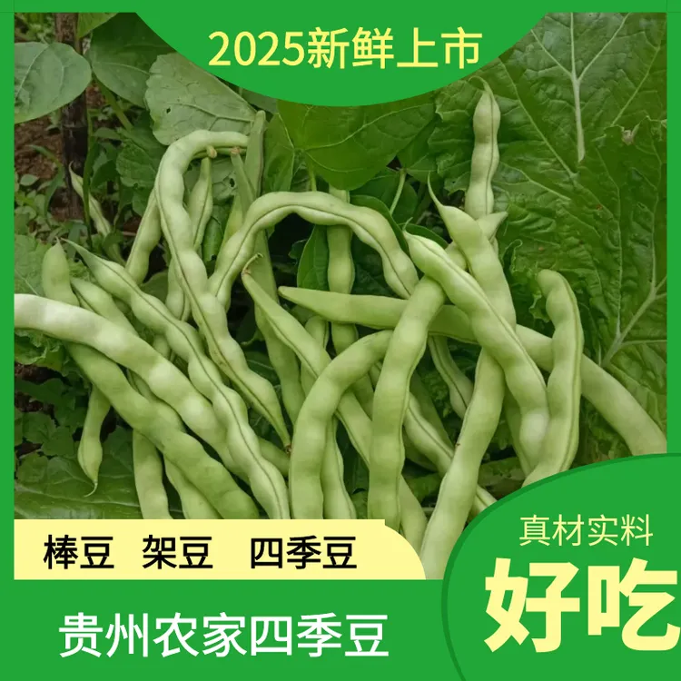 新鲜四季豆 现摘农家自种当季时令蔬菜长扁豆角芸豆角无筋豆包邮