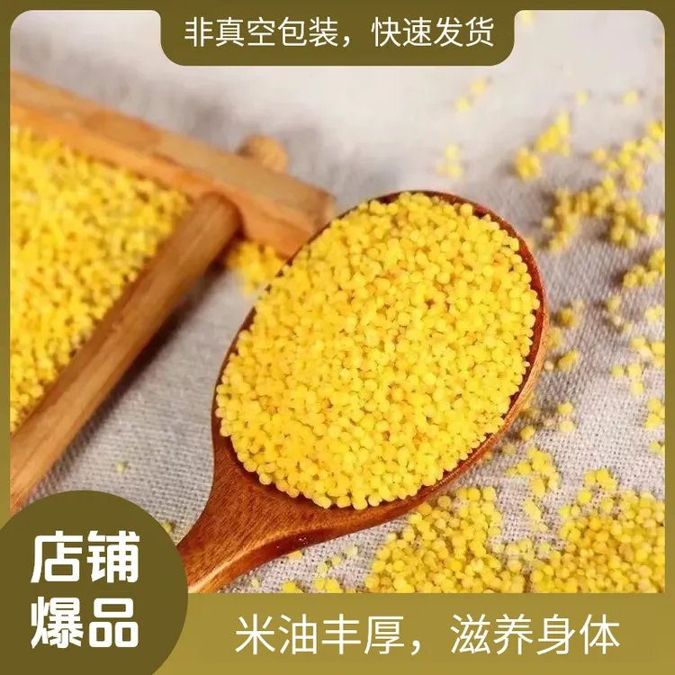 山东金乡 金谷小米 黄小米 新小米 熬粥 净重5斤包邮 非真空包装