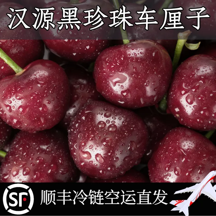 四川汉源黑珍珠车厘子新鲜水果当季礼盒顺丰空运孕妇适用
