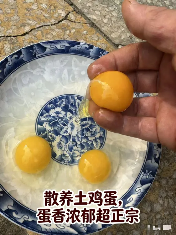 正宗农家土鸡蛋五谷喂养无抗生素无激素