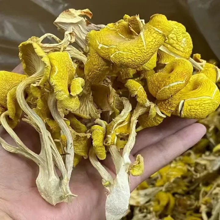 恩施高山农家鸡油菌250g
