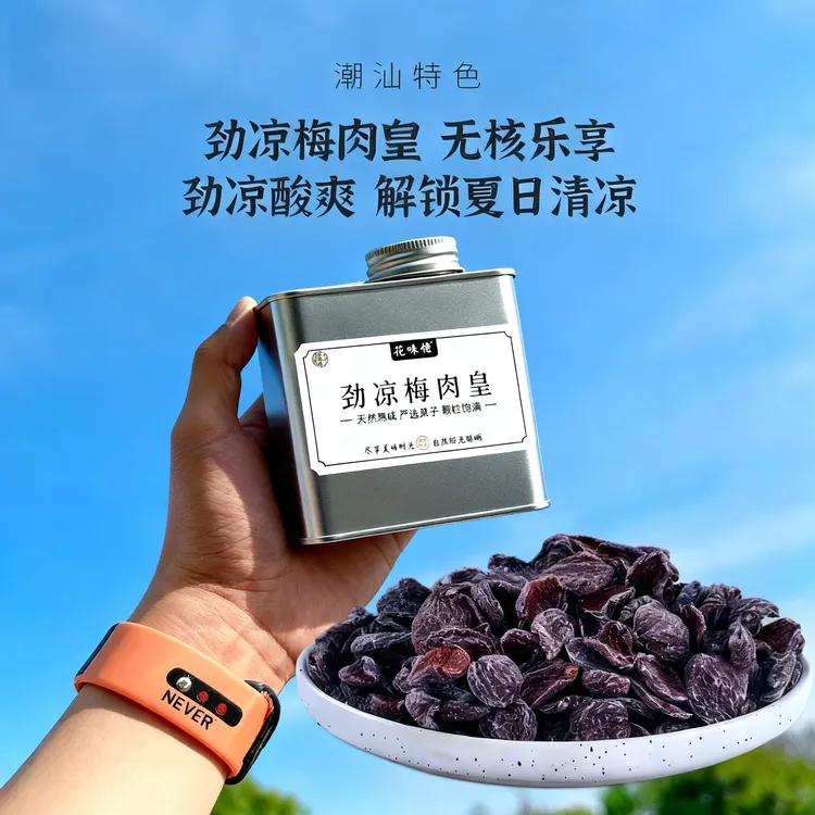 梅肉果脯劲凉梅肉皇怀旧小零食怀旧九制小零食追剧休闲解馋零食