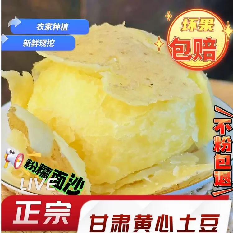 【中大果更沙面】2025年当季甘肃定西沙地粗皮黄心粉面沙土豆