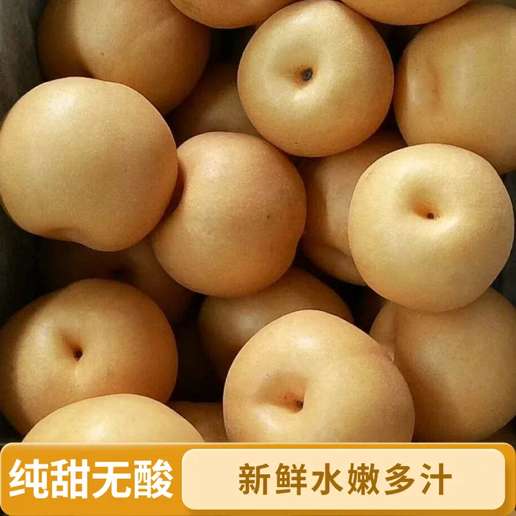 正宗龙泉驿丰水梨新鲜采摘净重3斤/5斤/9斤（未满箱称重量算）
