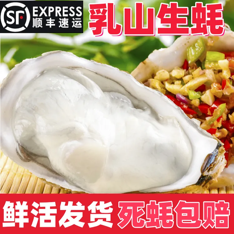 2025年买5斤送3斤乳山生蚝牡蛎海蛎子鲜活特大刺身生蚝乳山大生蚝