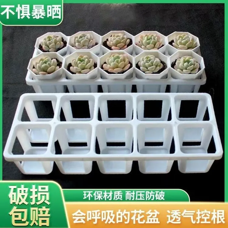 加厚八角新款多肉组合托盘白色10孔托架7方花盆加高阳台拼盘一体