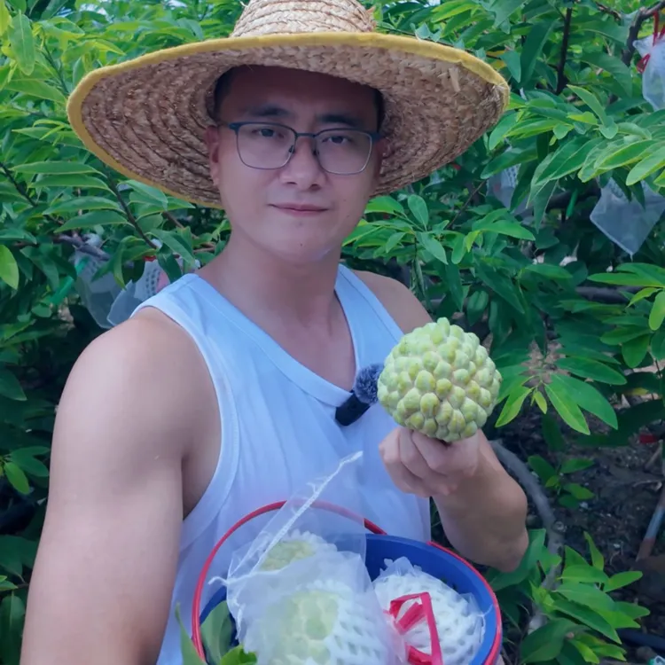 潮汕水果樟林林檎果释迦果番荔枝3-5斤新鲜味道鲜甜可口产地直发