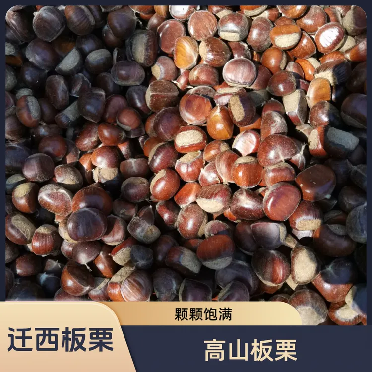 迁西板栗栗子新鲜好剥皮高山板栗正宗迁西板栗地理标识认证