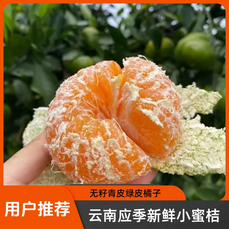 云南应季无籽小蜜桔青皮绿皮橘子酸爽多汁新鲜孕妇水果