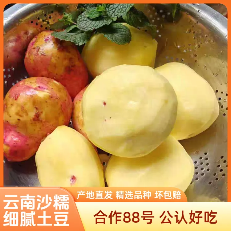 【云南红皮土豆】合作88号粉糯黄心高山马铃薯洋芋新鲜现挖应季蔬菜