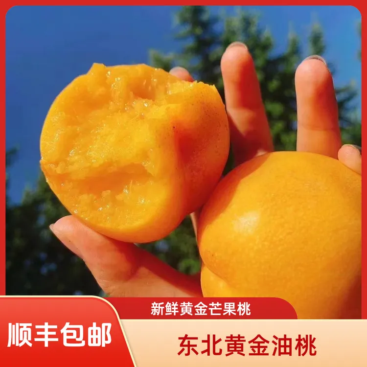 【芒果桃/顺丰包邮】新鲜黄金芒果桃 黄金油桃 甜口无毛 到货不保脆