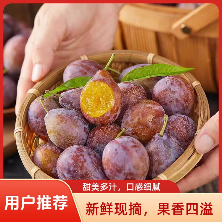 新疆西梅产地直发肉厚核小酸甜多汁口感好吃新鲜发货颗颗大果