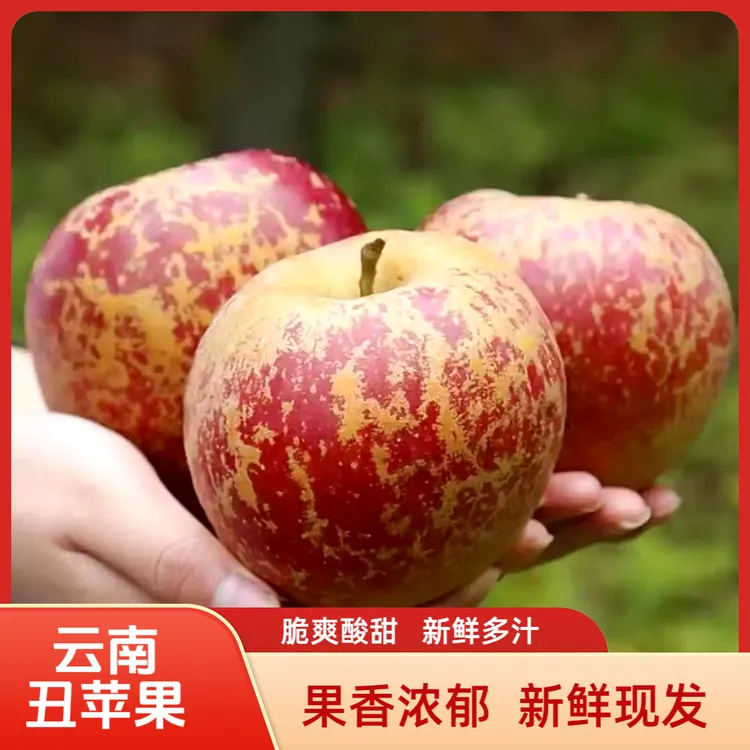 云南高原丑苹果冰糖心早熟富士红将军酸甜多汁脆甜新鲜现摘水果