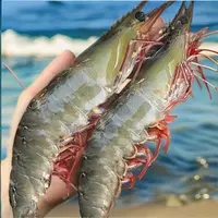 【特大号规格海虾】新鲜美味 肉质紧实 到手5斤 顺丰冷链特快