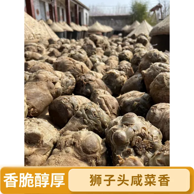 狮子头咸菜（二年）浓香，一斤半包邮，浓香醇厚，香脆
