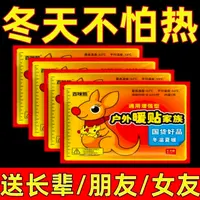 暖贴防寒保暖贴热数家用暖腹部贴发1包10片不是猫宠物零食和罐头