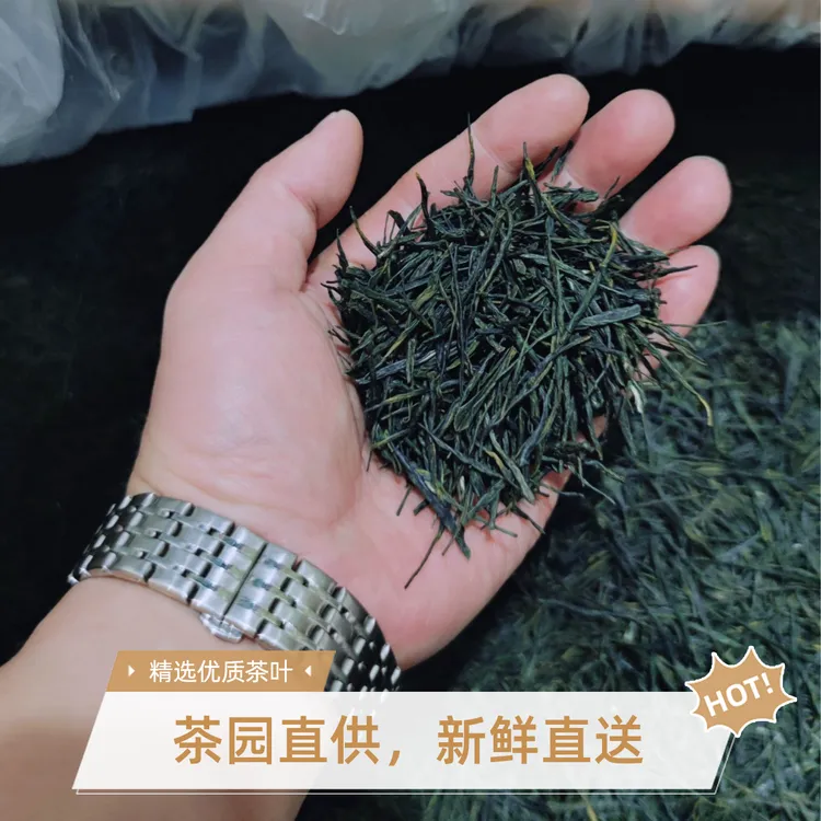 3斤-2025襄阳绿茶保康雨前高山炒青栗香奈泡高级茶叶茗茶