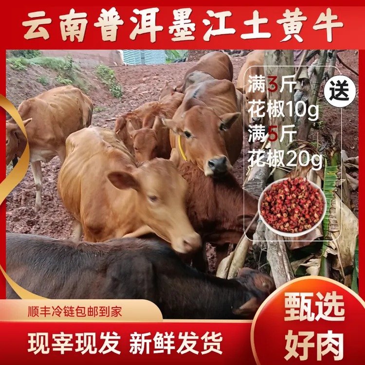 普洱墨江正宗农家散养土黄牛肉不喂饲料新鲜 现宰现发3斤/5斤装