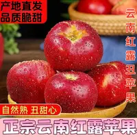 云南昭通丑苹果红露苹果现摘现发果皮微瑕疵果冰雹果脆甜苹果