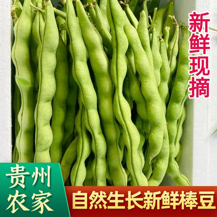 贵州新鲜棒豆农家芸豆长豆角自种扁豆刀豆四季豆现摘蔬菜时令蔬菜