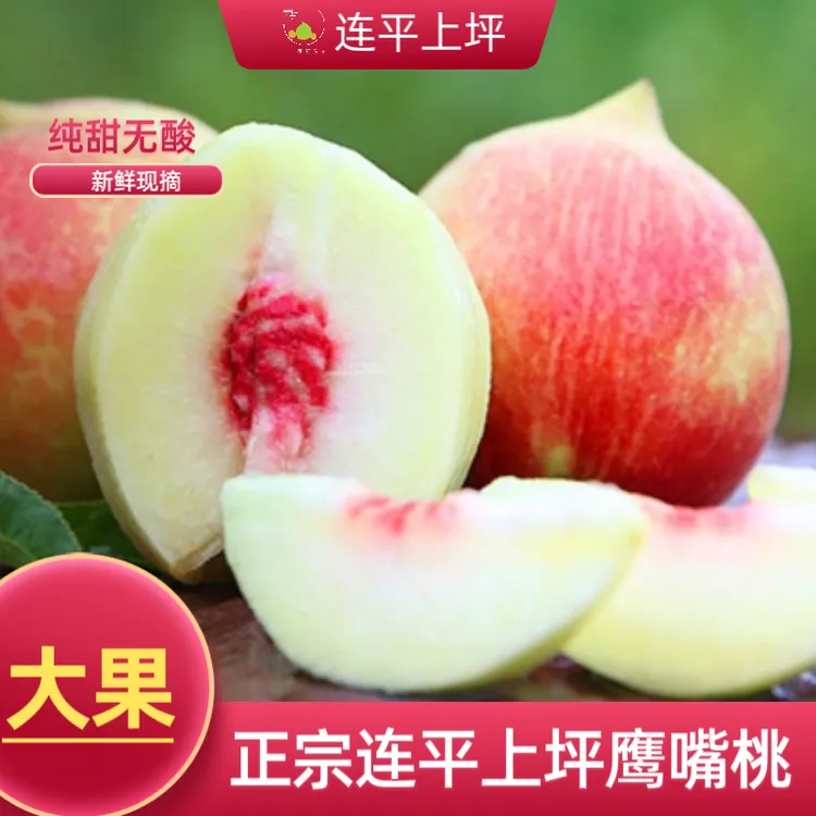 上坪印象正宗连平上坪【大】鹰嘴蜜桃精选特大果桃王新鲜水果现摘