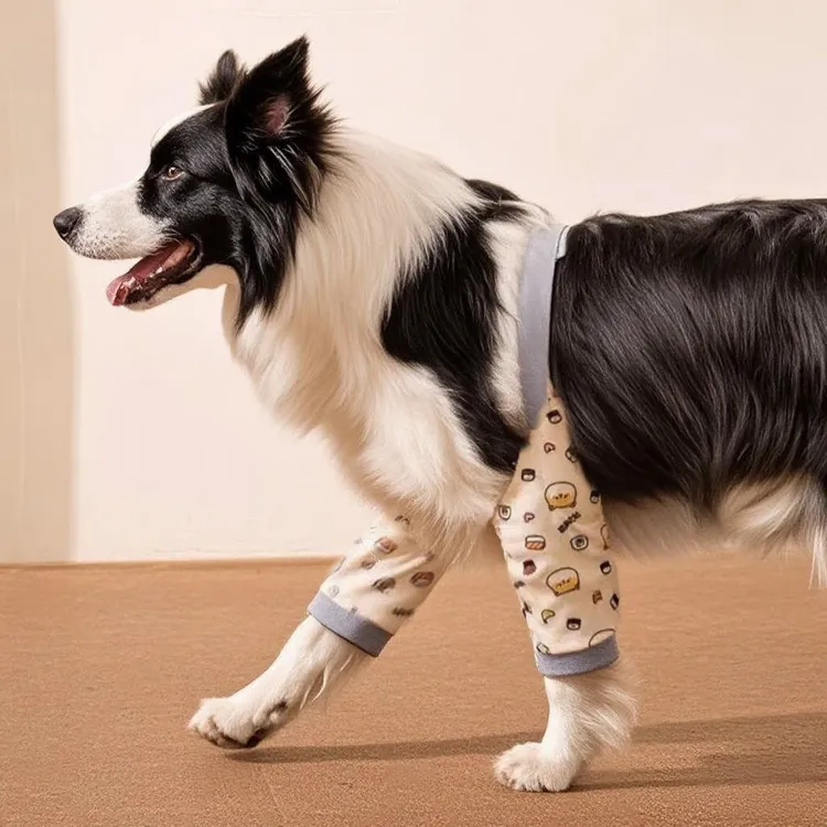 宠物狗狗护肘关节防磨防保护套金毛拉布拉多中大型犬外出护肘衣袜