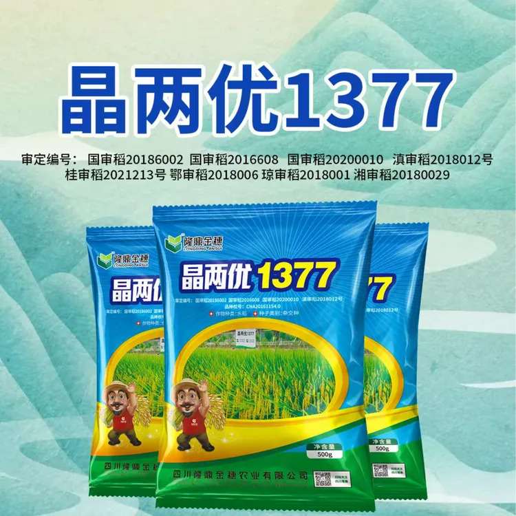 【国审正品】晶两优1377水稻种子厂家直销米质好抗性强高产再生稻