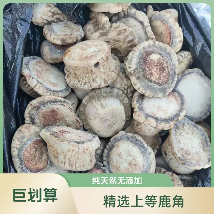 鹿角帽整枝鹿托盘帽纯正正品东北正宗鹿场直发可打粉鹿茸