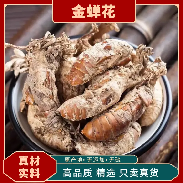 金蝉花金蝉花野生蝉花金蝉花知了花蝉蜕手选整只整个蝉花各个饱满