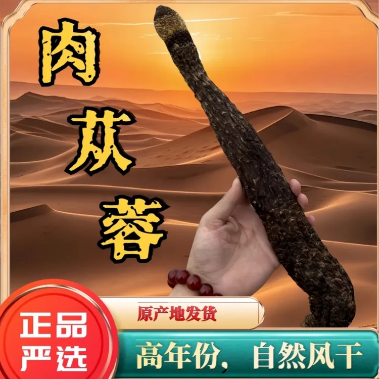 【肉苁蓉】塔克拉马干整根软大芸福利