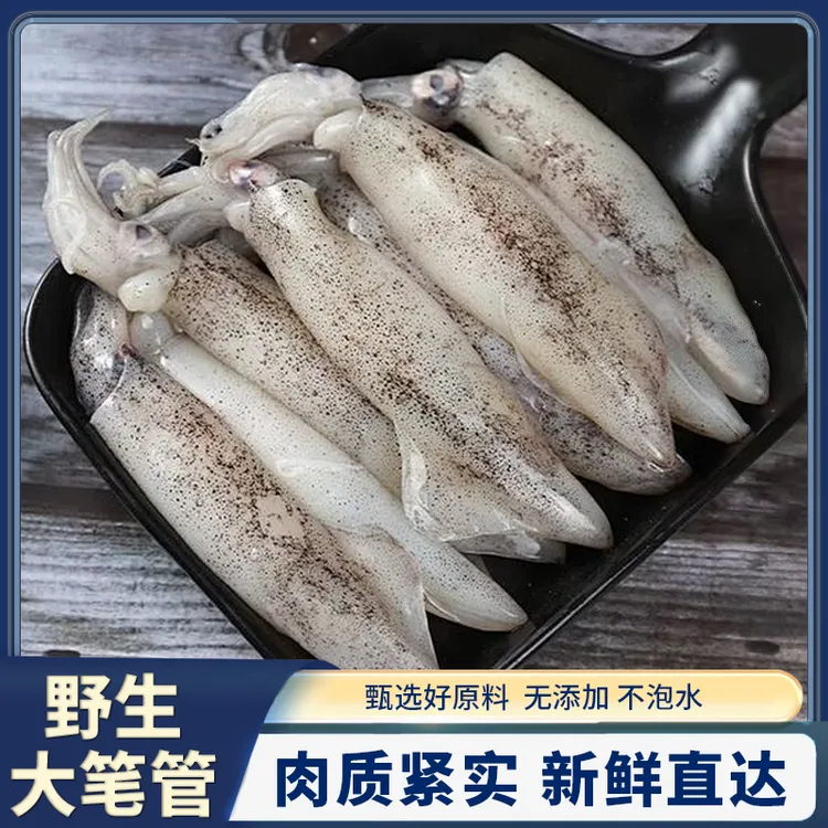 新鲜笔管 海兔  一斤一包 真空包装9-12只/包 到手4包4斤