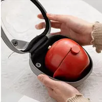 【沉鱼】苹果陶瓷快客杯一壶二杯带茶叶罐旅行茶具车载户外便携式