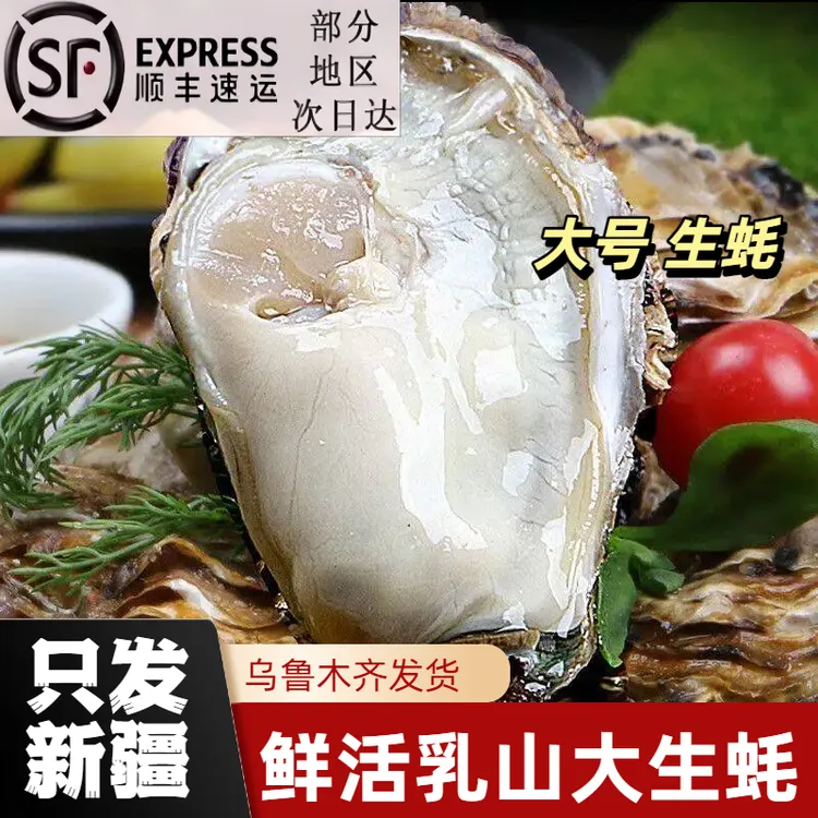 【新疆顺丰包邮】新鲜生蚝300-350g一个新鲜大生蚝 冷链发货5-10斤