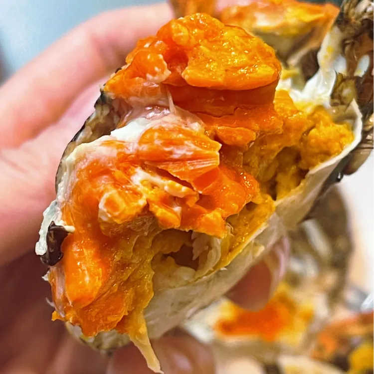 精挑江苏兴化大闸蟹母蟹活蟹 2.4-2.6两2.9-3.2两8-10只 顺丰快递