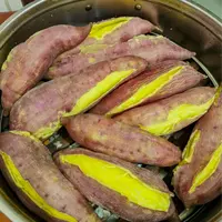 陕西渭河边板栗红薯新鲜现挖粉糯香甜粗粮代餐烤地瓜