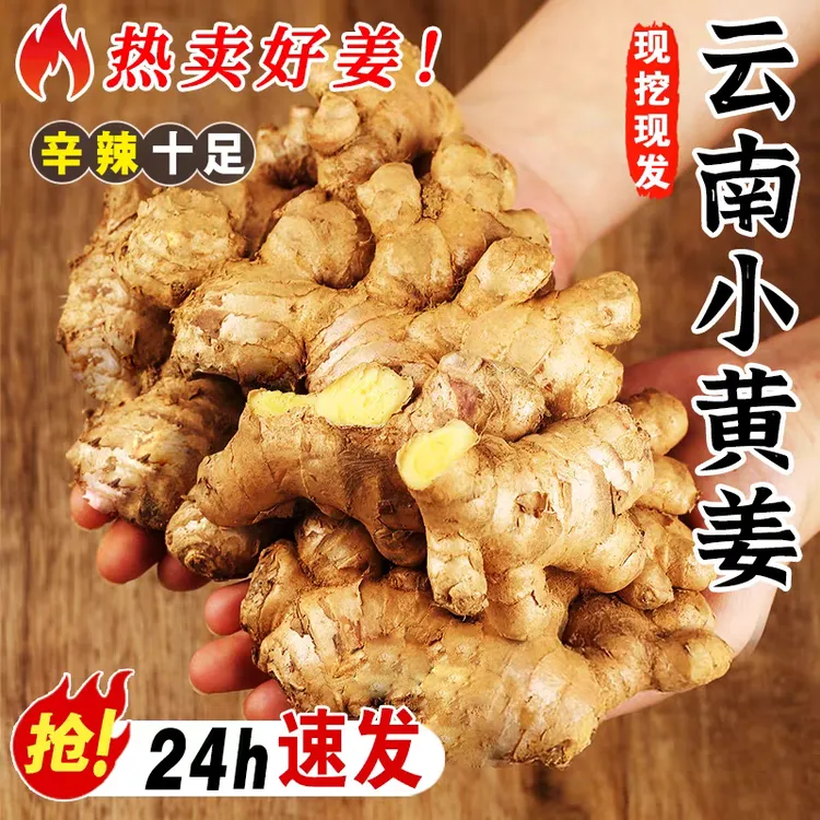 正宗云南小黄姜新鲜罗平生姜老姜农家自种黄姜月子姜干姜非嫩母姜