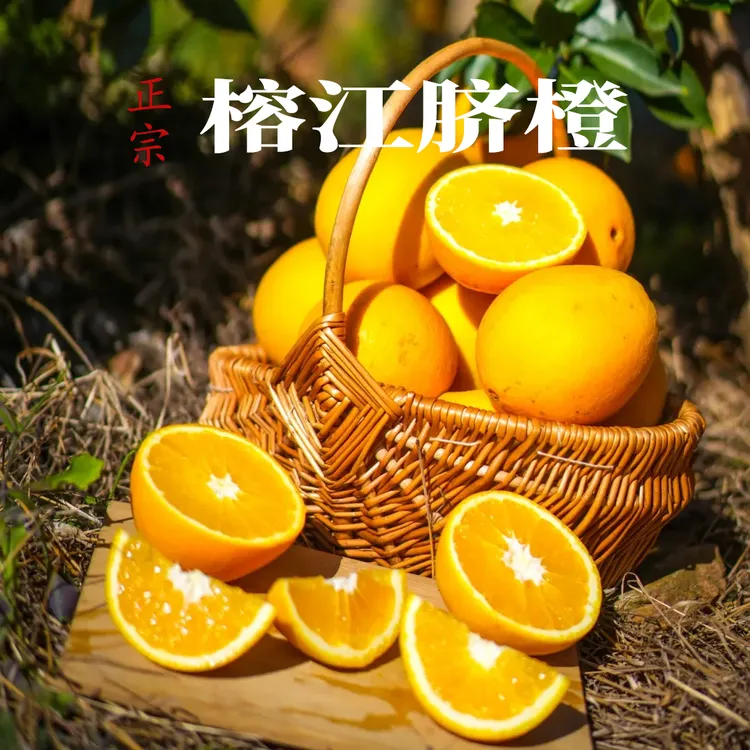贵州榕江脐橙新鲜现摘当季水果清甜多汁爽口产地现摘现发