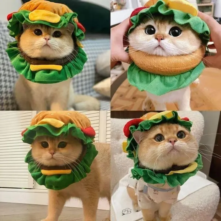 猫咪汉堡头套搞怪可爱耳朵宠物帽子狗狗头饰小型拍照装扮服饰品