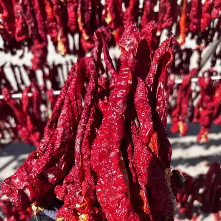 新疆特产自然晾晒肉辣皮子红辣椒大盘鸡必备炖肉香而不辣老少皆宜