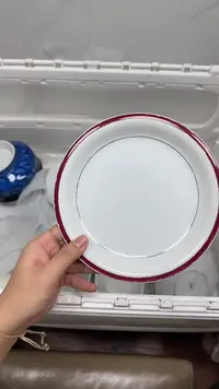 【闪购商品】4115回流瓷器默认微瑕，18.8包邮