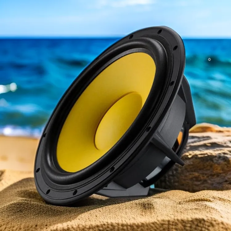 HIVI惠威D10G中低音喇叭单元发烧HIFI家用音箱扬声器