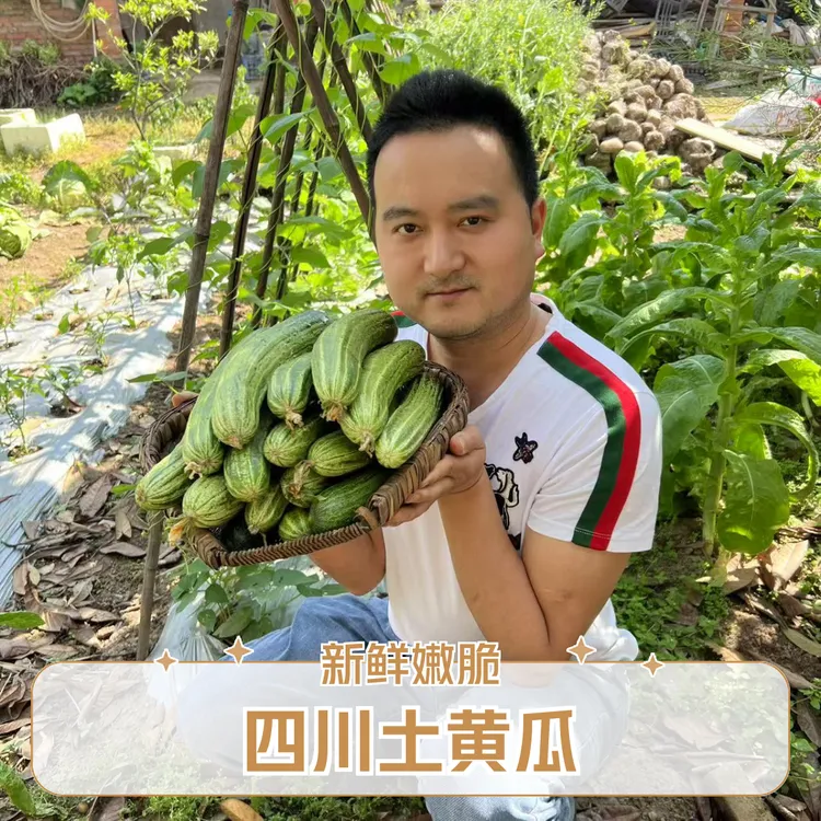【实惠优选】四川老品种农家土黄瓜新鲜采摘嫩凉拌生吃黄瓜水果黄瓜