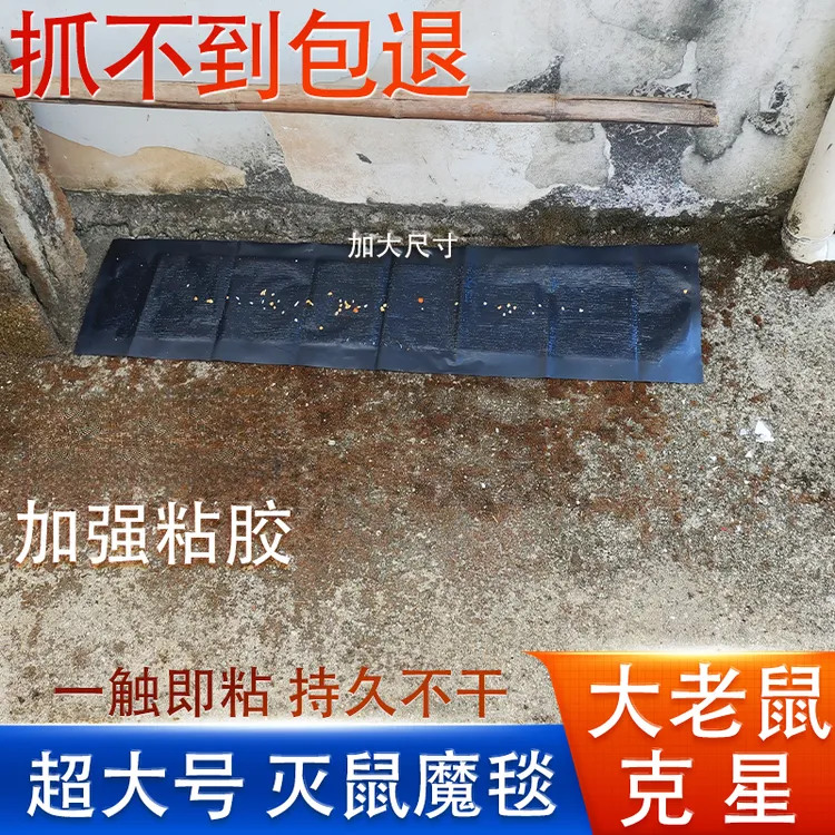 黑色加厚粘鼠板灭鼠神器捉抓大小老鼠家用捕鼠贴防水防潮大号室内