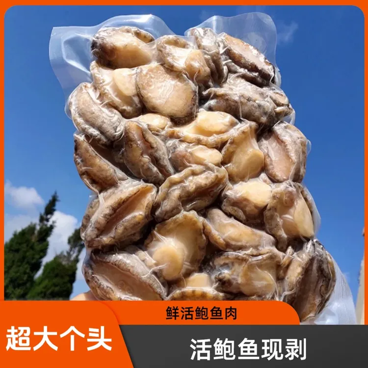 新鲜鲍鱼肉 500g/包深海海捕 干净食用口感鲜嫩 冷冻产品发顺丰