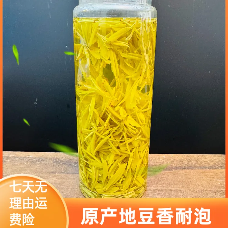 2025年新茶黄金芽 浓豆香 回甘回甜 耐泡性价比