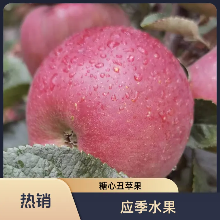 四川大凉山丑苹果新鲜当季现摘脆甜多汁冰糖心苹果精品礼盒水果