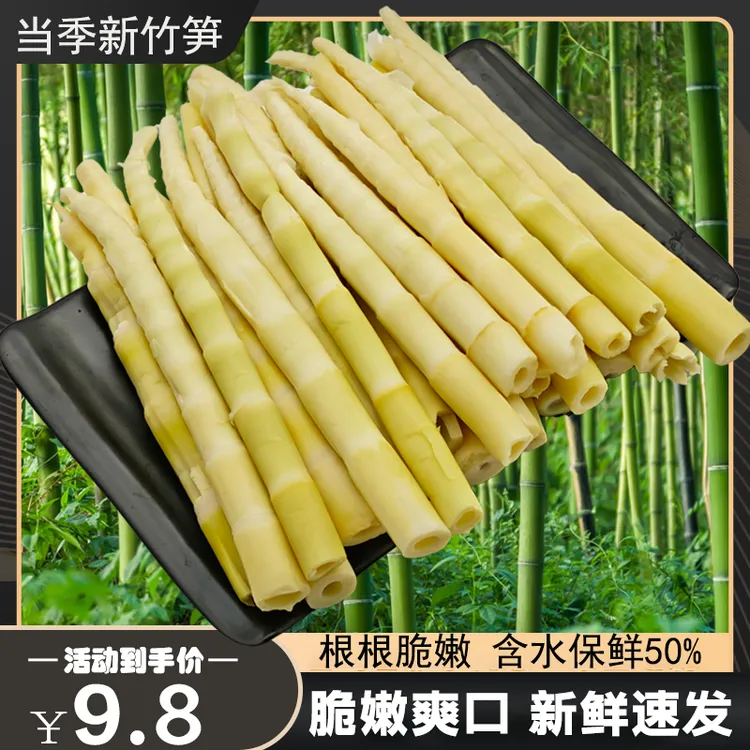竹笋春笋脆笋清水笋嫩笋尖新鲜笋子竹笋炒肉凉拌竹笋油焖笋干