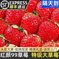 【顺丰速运】丹东99草莓新鲜采摘应季水果红颜九九草莓放心吃