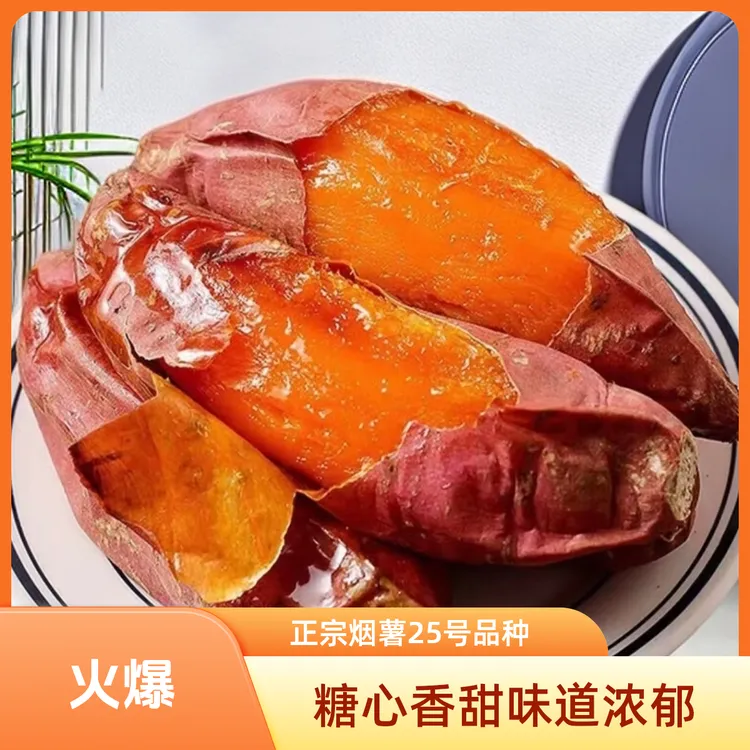 正宗烟薯25号沙地蜜薯新鲜现挖减脂红薯糖心软糯香甜番薯烤红薯