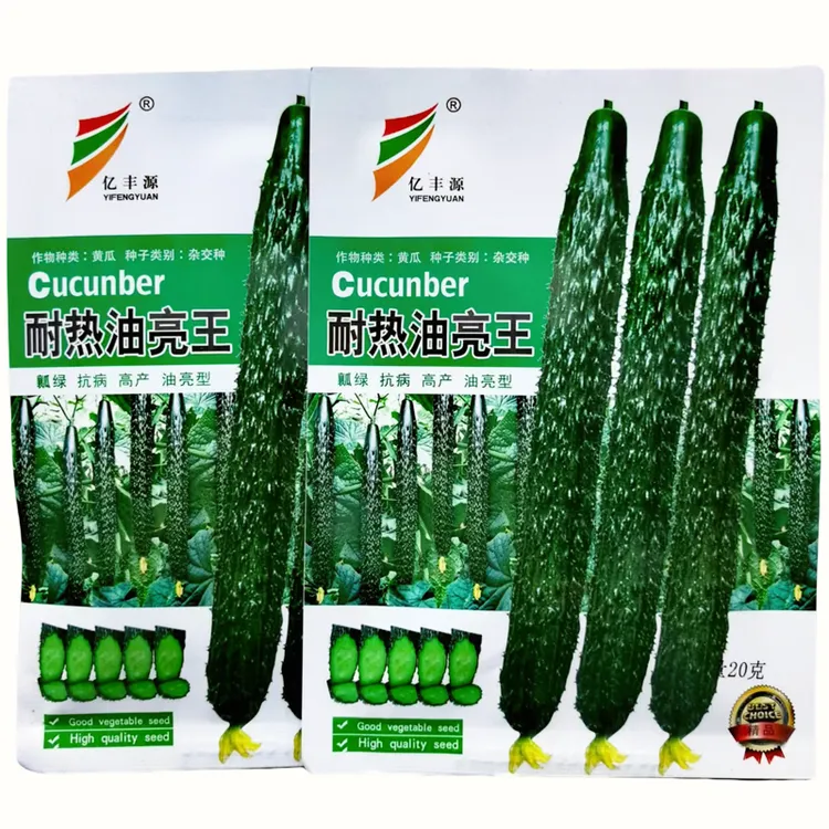 油亮型黄瓜种子高产抗病绿瓤黄瓜种子密刺短把长青瓜种子